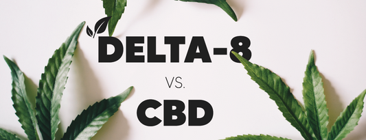 CBD vs. Delta 8 THC: What’s the Difference?