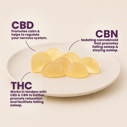 True Sleep Full Spectrum CBN + CBD Sleep Gummies