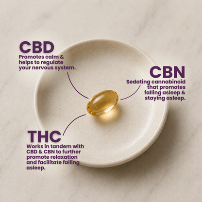 True Sleep Full Spectrum CBN, CBD & THC Softgels