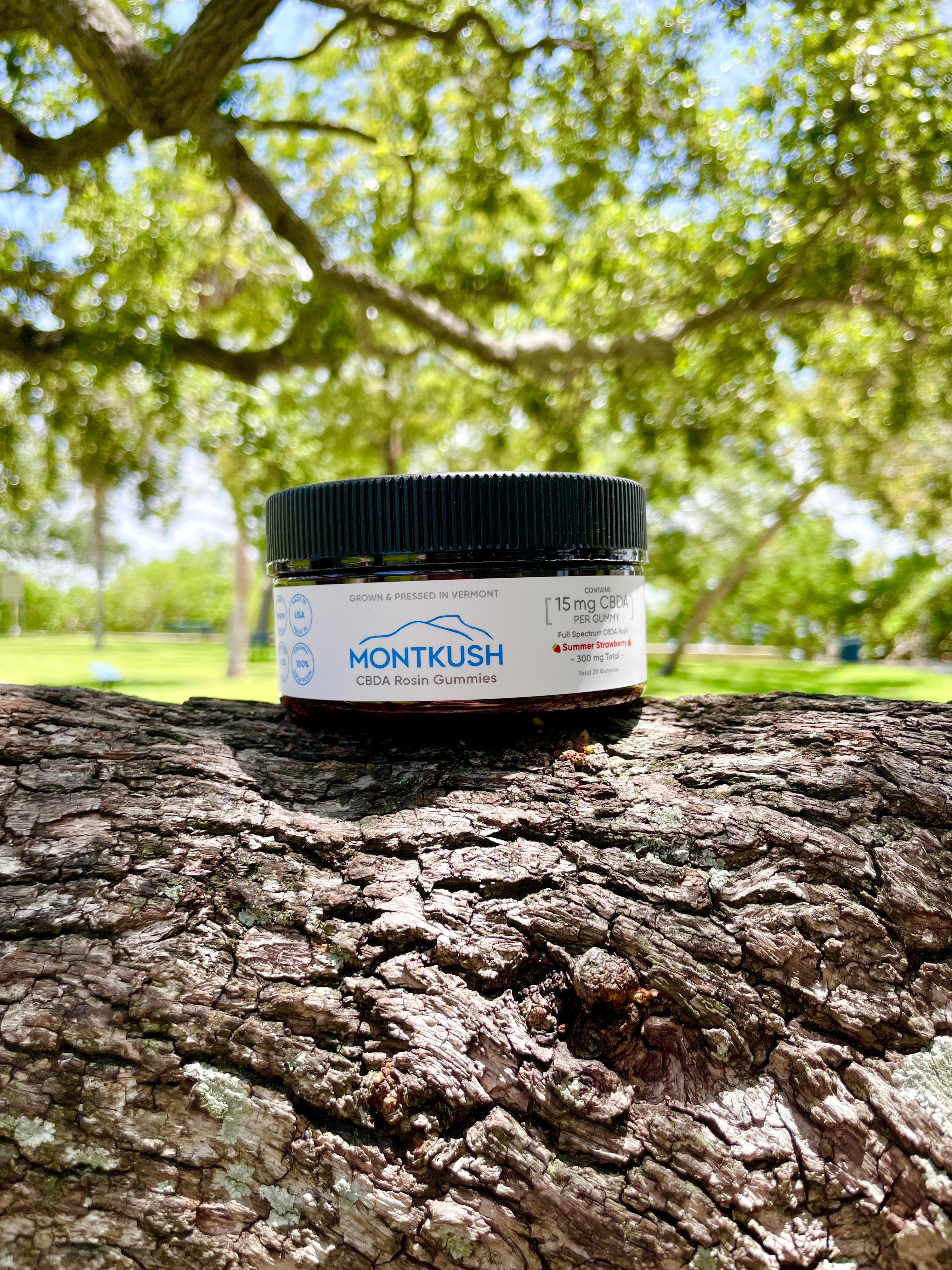 THXE リキッド73% ナチュラル　ミントフレーバー0.5ml ♯ CBD Shop 300mg Full-Spectrum CBDA Gummies | MONTKUSH
