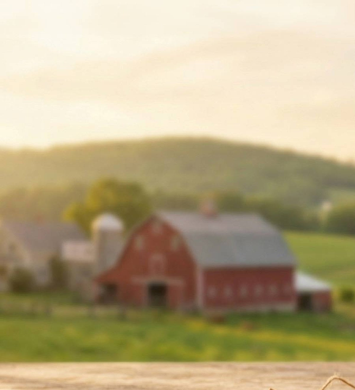 MONTKUSH farm and barn in Plainfield, Vermont